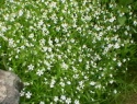 IMGA0905.JPG