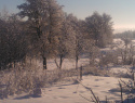 WP_000017.jpg