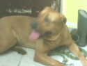 IMG0050A.jpg