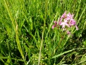 PTDC0085.JPG