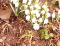 IMG0012B.jpg