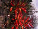 IMG00104.jpg