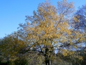 PTDC0085.JPG