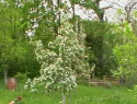 IMGA0914.JPG