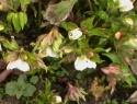 IMGA0280.JPG