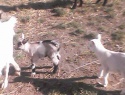 IMG0034A.jpg