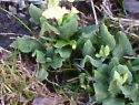 PTDC0042.JPG