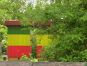 IMGA0933.JPG