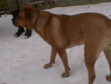 IMGA0603.JPG