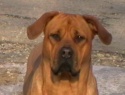 IMGA0076.JPG