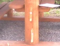 IMG0144A.jpg