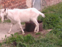 WP_000246.jpg