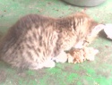 IMG0159A.jpg