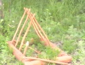 IMG0143A.jpg