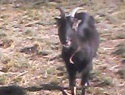 IMG0045A.jpg