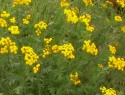 IMGA0793.JPG