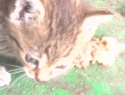 IMG0161A.jpg