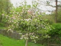 IMGA0910.JPG
