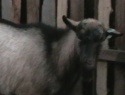 IMGA0041.JPG