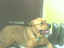 IMG0052A.jpg