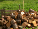 IMGA0108.JPG