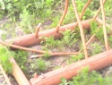 IMG0149A.jpg
