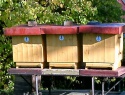PTDC0045.JPG