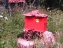 IMG00024.jpg
