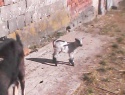 IMG0032A.jpg