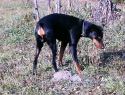 PTDC0081.JPG