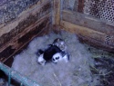 PIC_0012.JPG