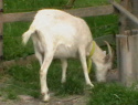 IMGA0667.JPG