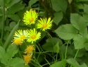 IMGA0927.JPG