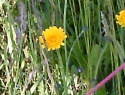 PTDC0076.JPG
