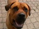 IMGA0011.JPG