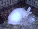 PIC_0031.JPG