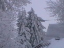 IMGA0200.JPG