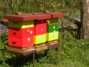 IMGA0229.JPG