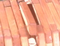 IMG0148A.jpg