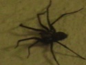 IMGA0565.JPG