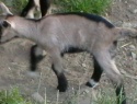 IMGA0748.JPG