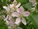 IMGA0623.JPG