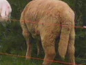 IMG00075.jpg