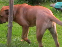 IMGA0395.JPG