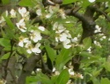 IMGA0925.JPG
