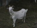 IMGA0854.JPG