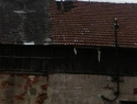 20190311_084239.jpg