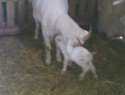WP_000142.jpg