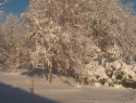 WP_000019.jpg
