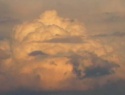 IMGA0974.JPG
